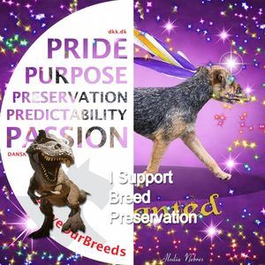 Meet your Posher, Joann